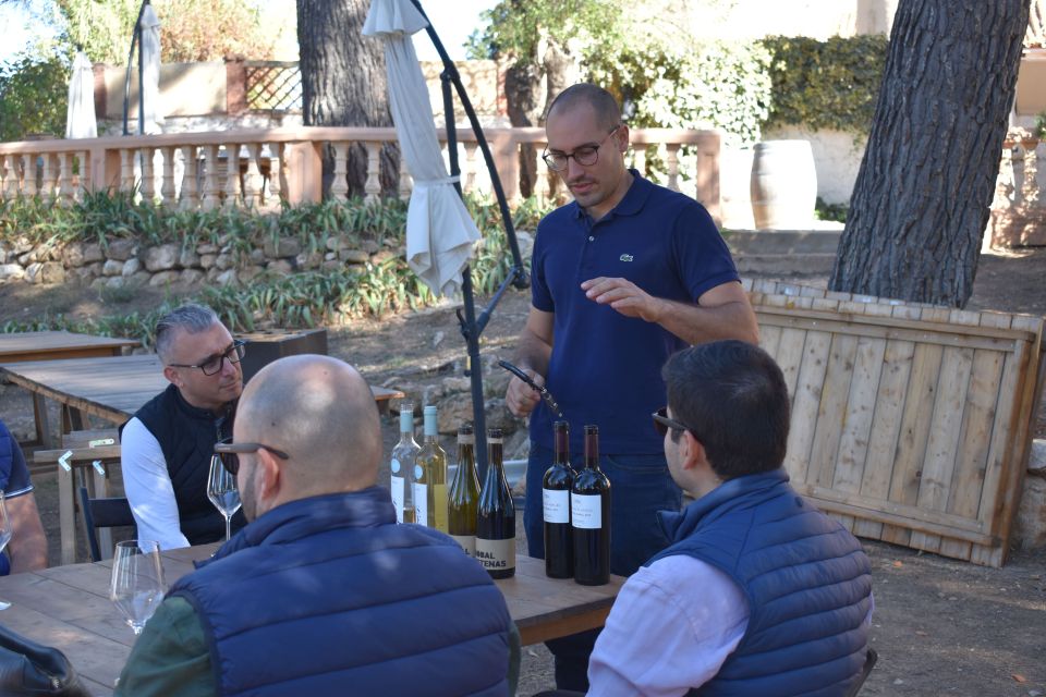 Valencia: Utiel-Requena Cave & Winery Day Trip with Tasting - Should you book this Utiel-Requena wine day trip?