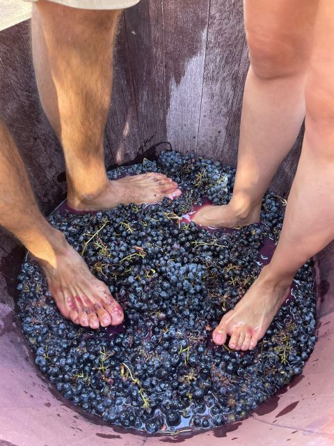 Valencia: Utiel-Requena Cave & Winery Day Trip with Tasting - The tastings and food: what you actually get for your money