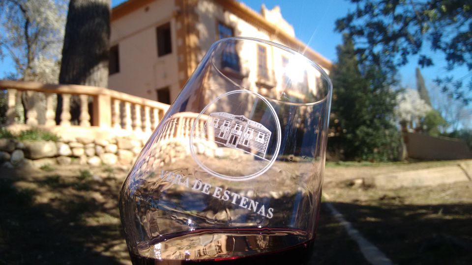 Valencia: Utiel-Requena Cave & Winery Day Trip with Tasting - Group size and guides: why small numbers matter on wine tours