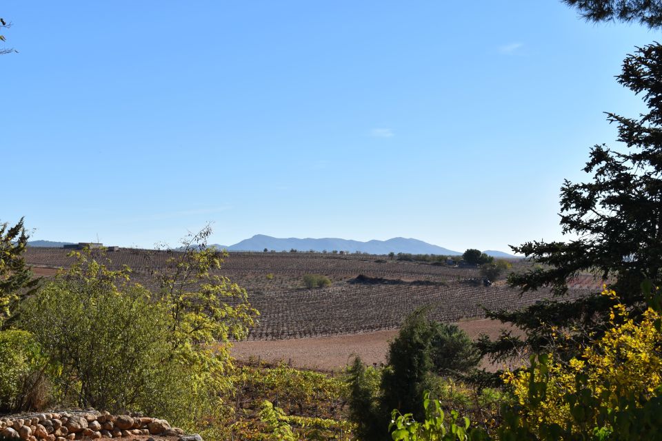 Valencia: Utiel-Requena Cave & Winery Day Trip with Tasting - Practical tips so you enjoy every stop