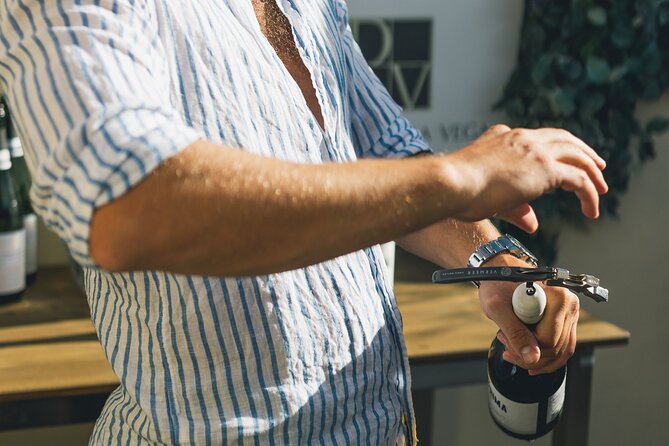 Wine Tasting Experience with a Professional Sommelier in Valencia City Center - Why This Valencia Wine Tasting Feels Different